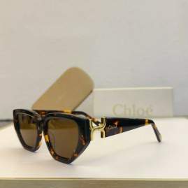 Picture of Chloe Sunglasses _SKUfw60701793fw